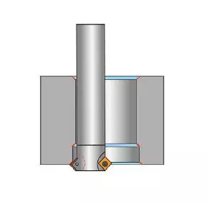 MC-Schematic-diagram